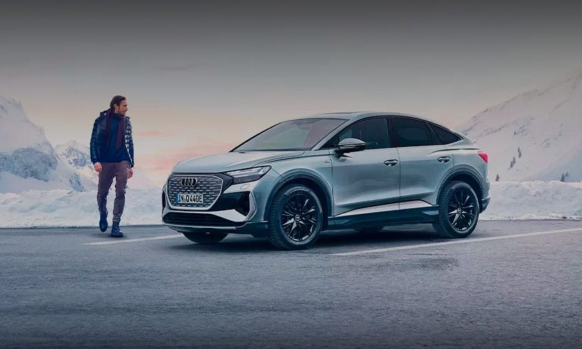 Audi Winter Check